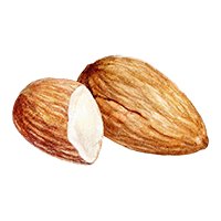 Almond