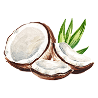 Coconut